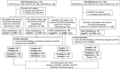 High-accuracy prediction of colorectal cancer chemotherapy efficacy using machine learning applied to gene expression data